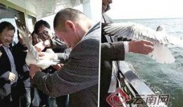 大理记者爆料新闻,揭秘当地热点事件背后真相